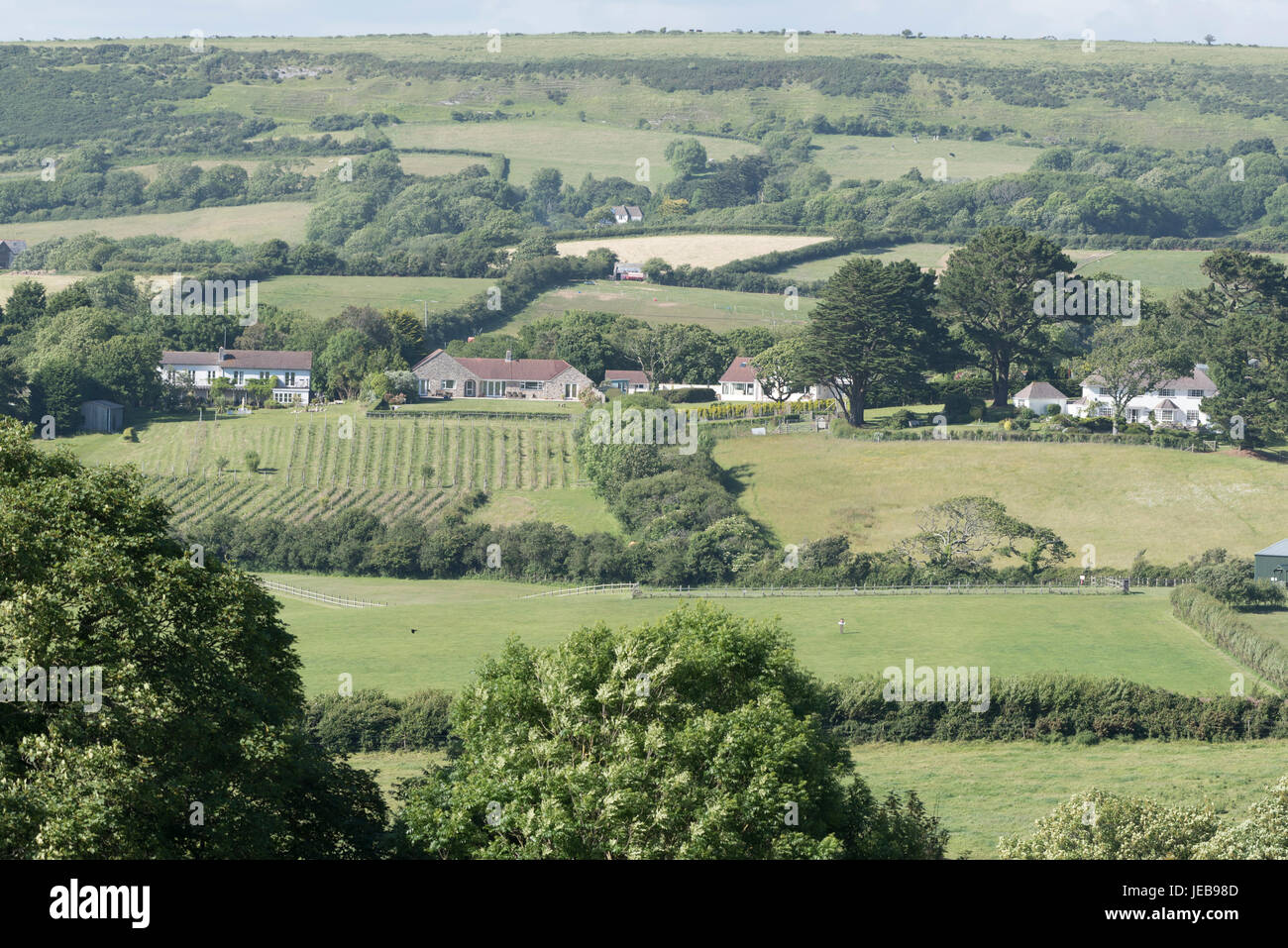 Agricoltura e abitazioni nelle colline Purpeck regione vicino a Corfe nel Dorset England Regno Unito. Giugno 2017 Foto Stock