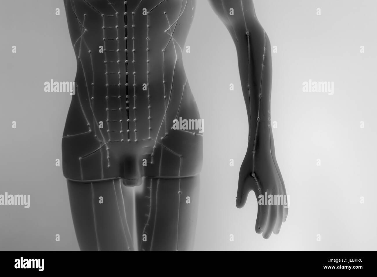Agopuntura medica modello di umano su sfondo bianco Foto Stock