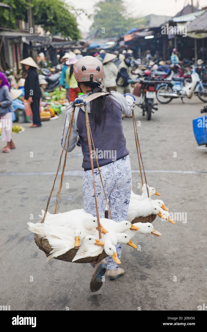 Il Vietnam, Hoi, Città Vecchia, donna porta anatre al mercato, Foto Stock