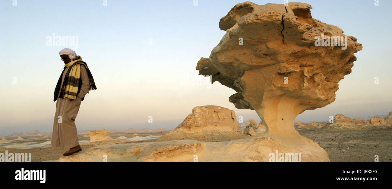 Africa, Egitto, deserto libico, White Desert, locale accanto a un pilastro di pietra, Foto Stock