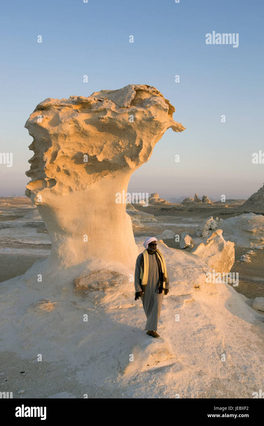 Africa, Egitto, deserto libico, White Desert, locale prima di un pilastro di pietra, Foto Stock