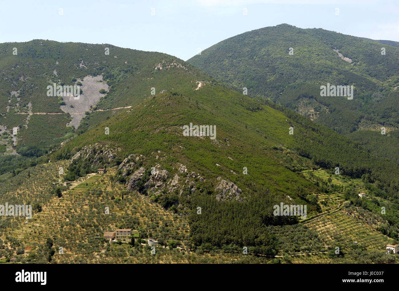 L'Italia, Toscana, il Monte Pisano, Buti, paesaggio forestale, Foto Stock