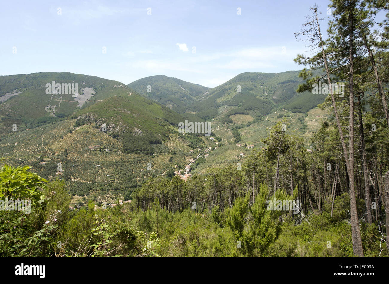 L'Italia, Toscana, il Monte Pisano, Buti, posto nella valle delle montagne boscose, Foto Stock