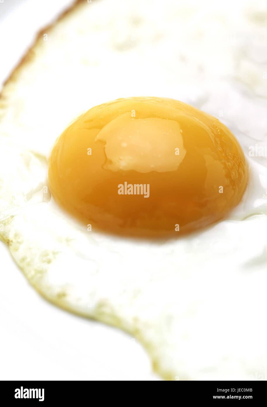 Uovo fritto, vicino, Foto Stock