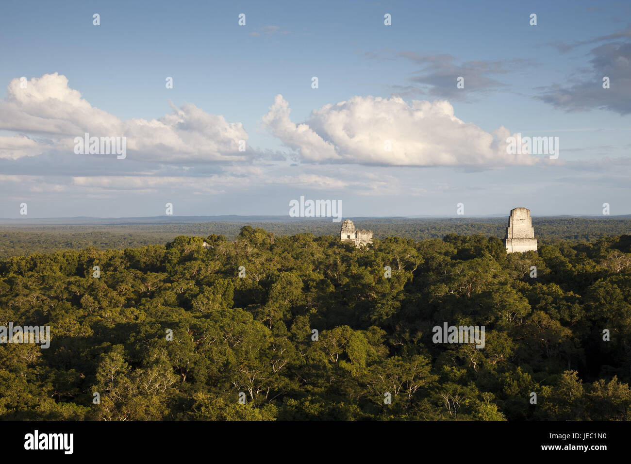 Guatemala, Tikal, rovine Maya, foresta pluviale, alcuna proprietà di rilascio, Foto Stock