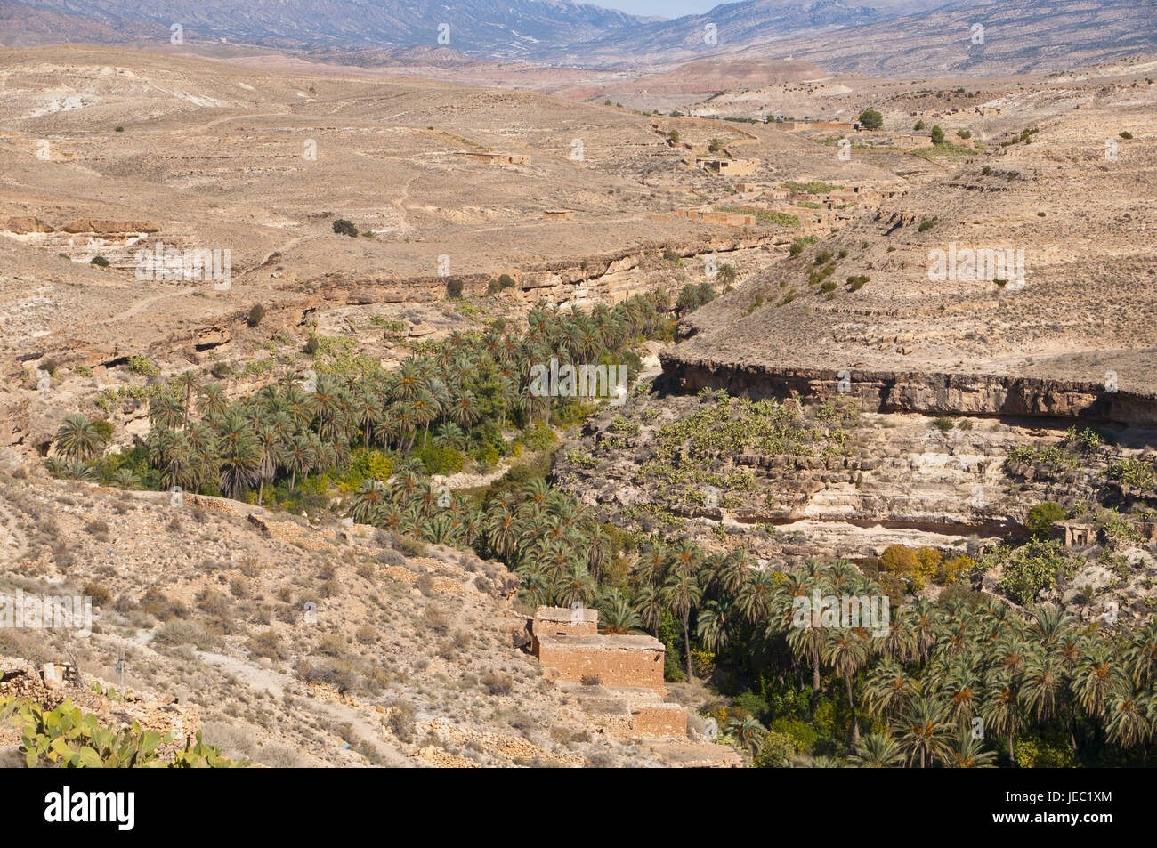 Green rock canyon di Ghouffi in Aures montagne, Algeria, Africa Foto Stock
