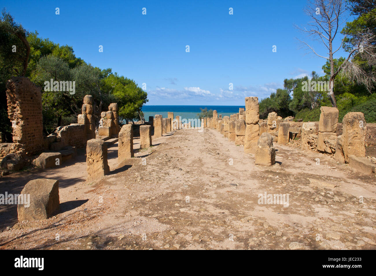 UNESCO-patrimonio culturale mondiale le rovine Romane di Tipasa, Algeria, Africa Foto Stock