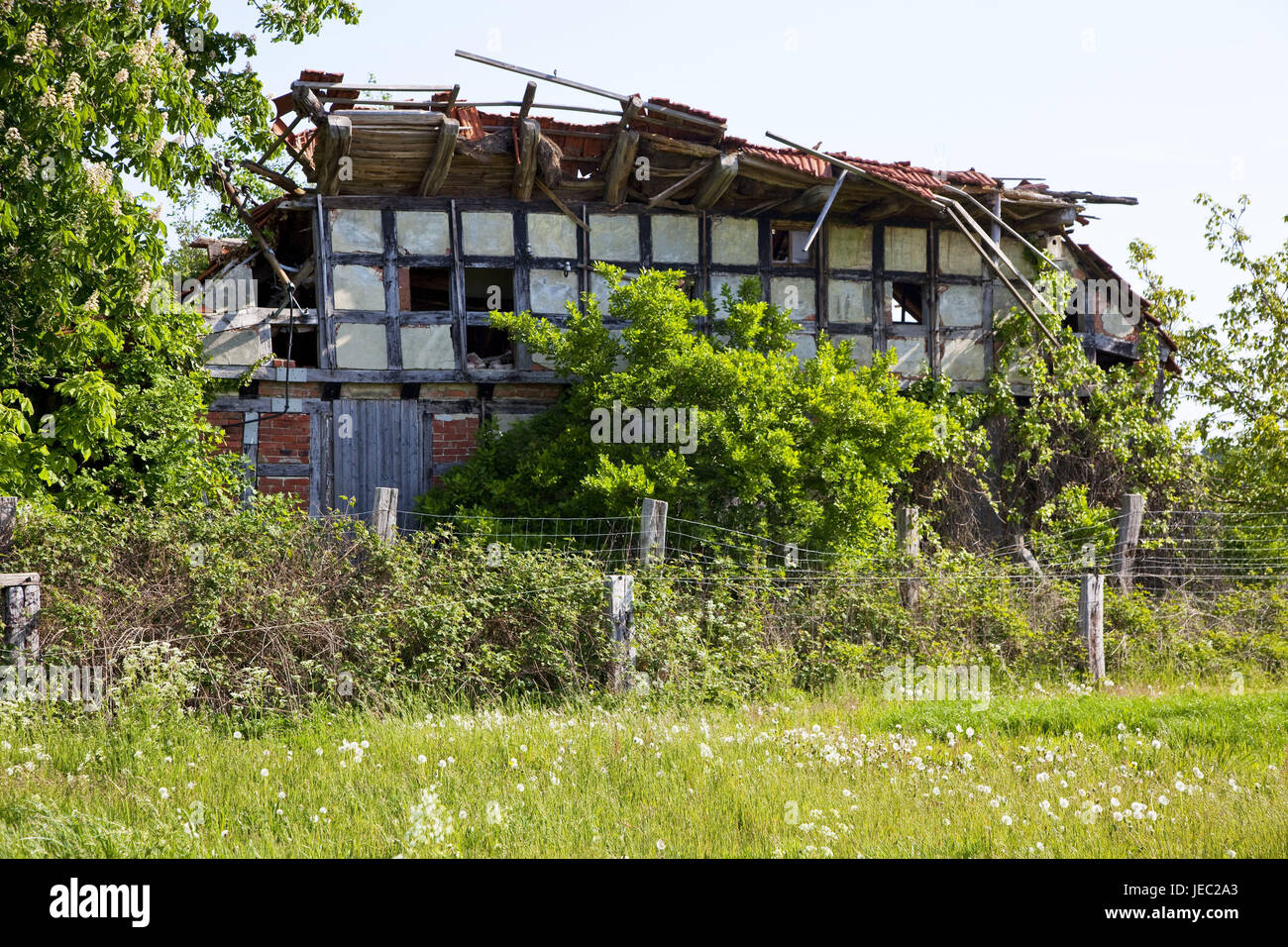 In Germania, in Renania settentrionale-Vestfalia, cerchio di Minden-Lübbecke, house, scadono, edificio, rovina e diventare ricoperta, recinzioni, prato, nessuno, dimenticati, Foto Stock