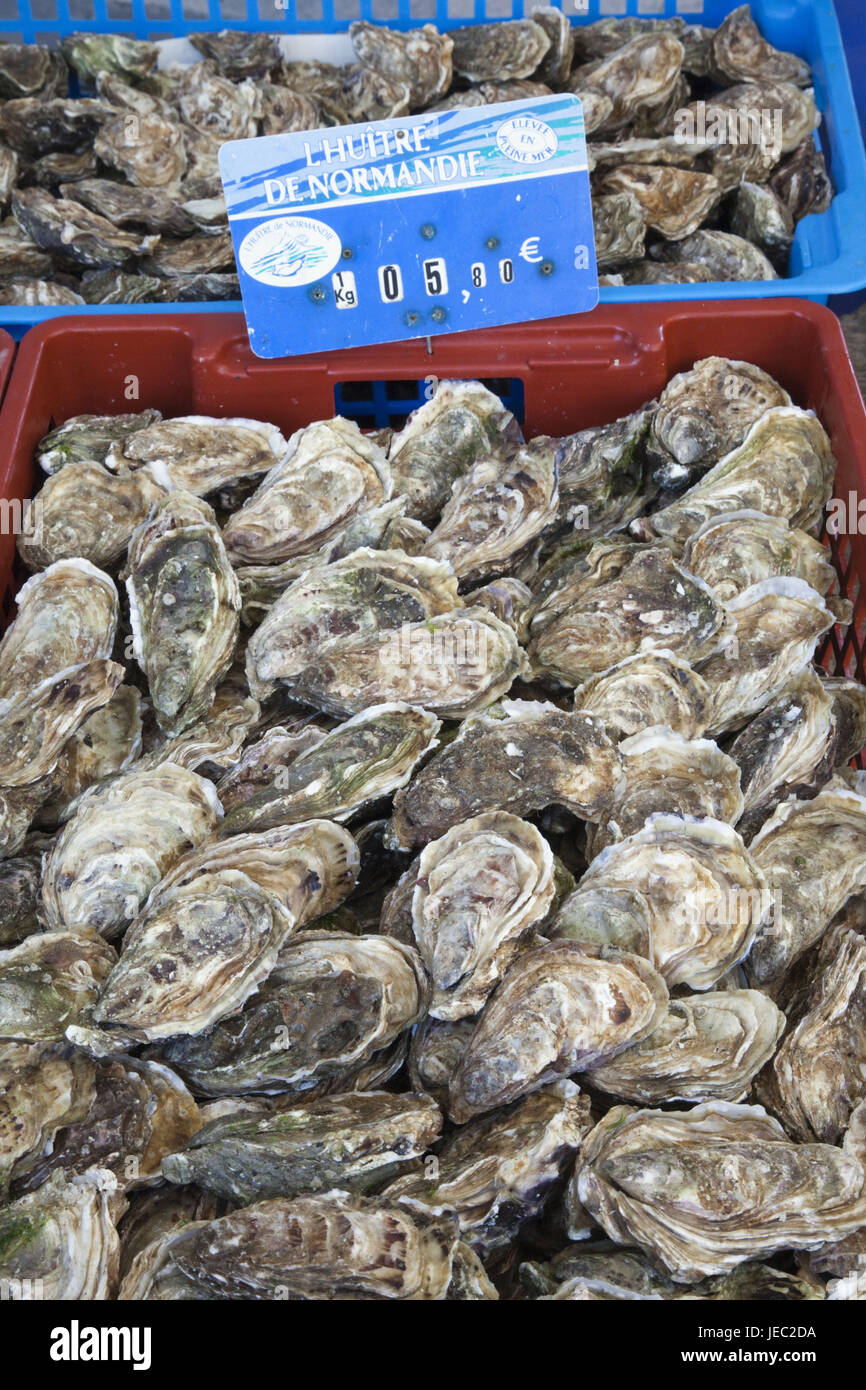 Francia, Normandia, Honfleur, mercato di stallo, ostriche, Foto Stock