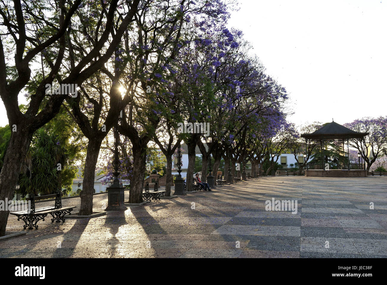 Spagna, Andalusia, provincia di Cadiz, Jerez de la Frontera, pavilion in Alameda Vieja, Foto Stock