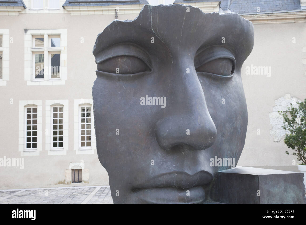 Francia, Valle della Loira, prato, Museo di Belle Arti, san di arte, lo sguardo al di fuori, Foto Stock