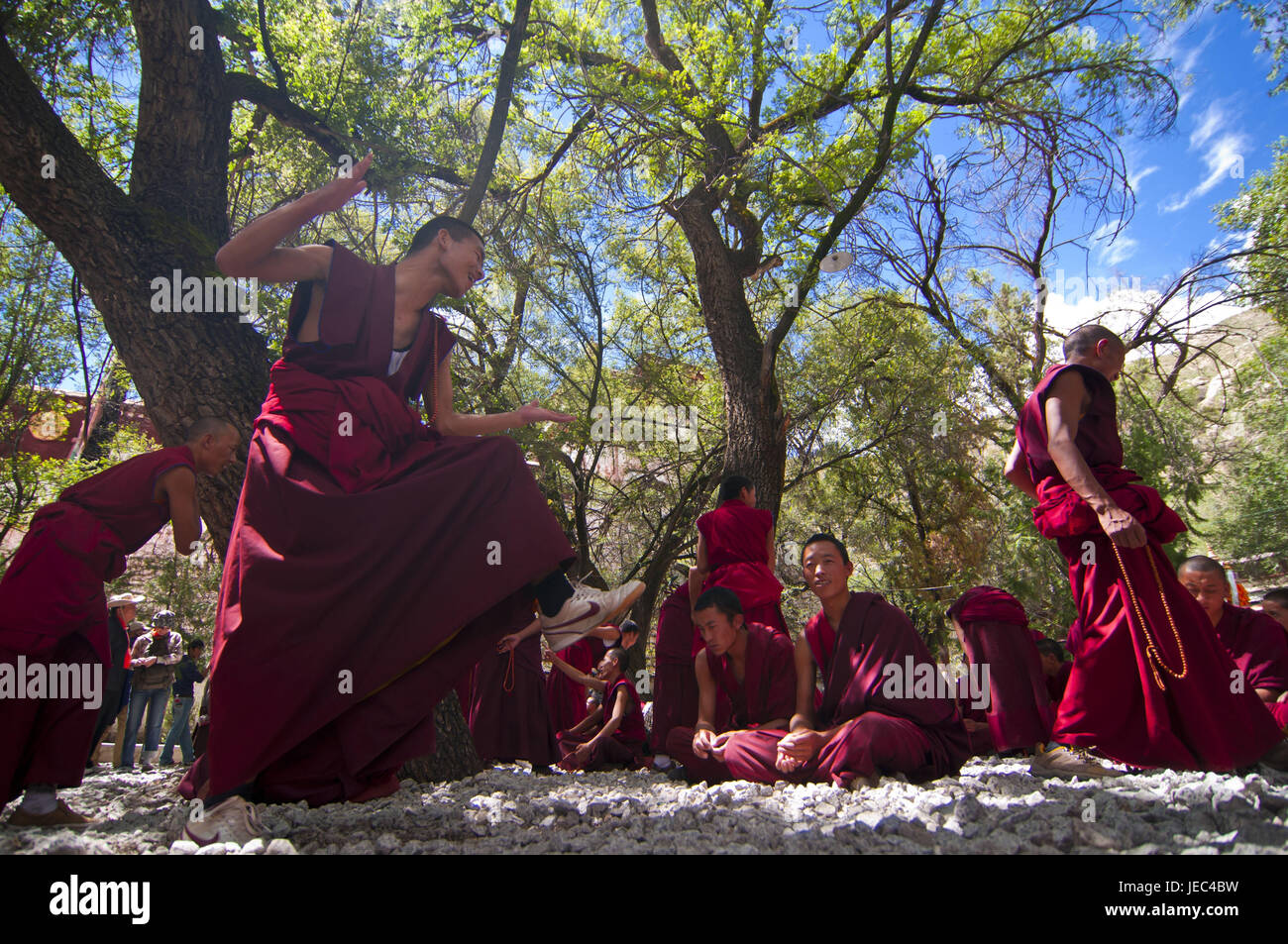 Giovani monaci con il quotidiano la discussione ora della saga tempio, Lhasa, in Tibet, Asia Foto Stock