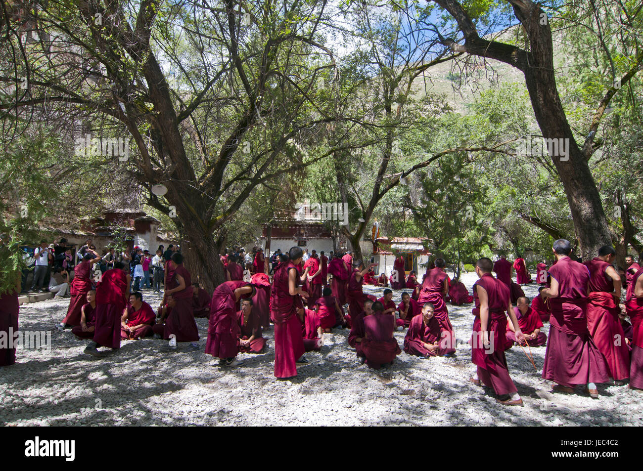Giovani monaci con il quotidiano la discussione ora della saga tempio, Lhasa, in Tibet, Asia Foto Stock