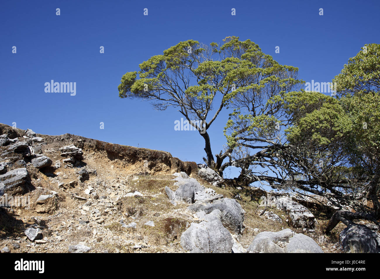 Guatemala, monti Cuchumatanes, Foto Stock
