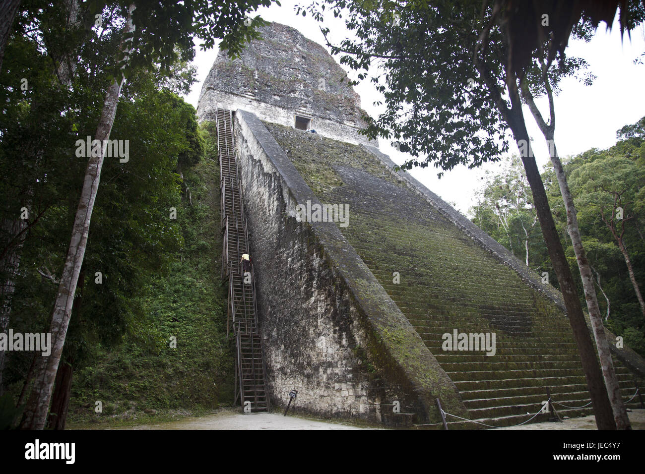 Guatemala, Tikal, rovine Maya, tempio V, alcuna proprietà di rilascio, Foto Stock