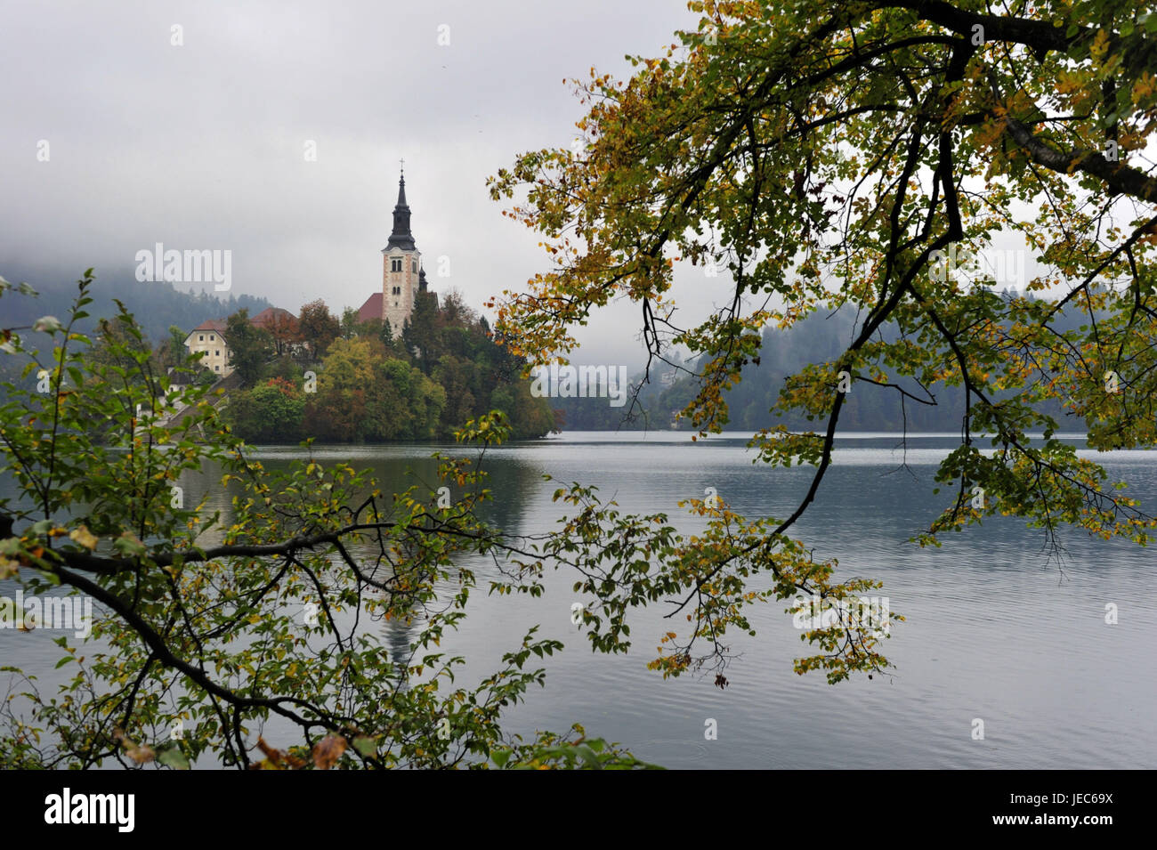 La Slovenia, regione di Gorenjska, Bled, vista sul lago Bleder sulla Chiesa, Foto Stock
