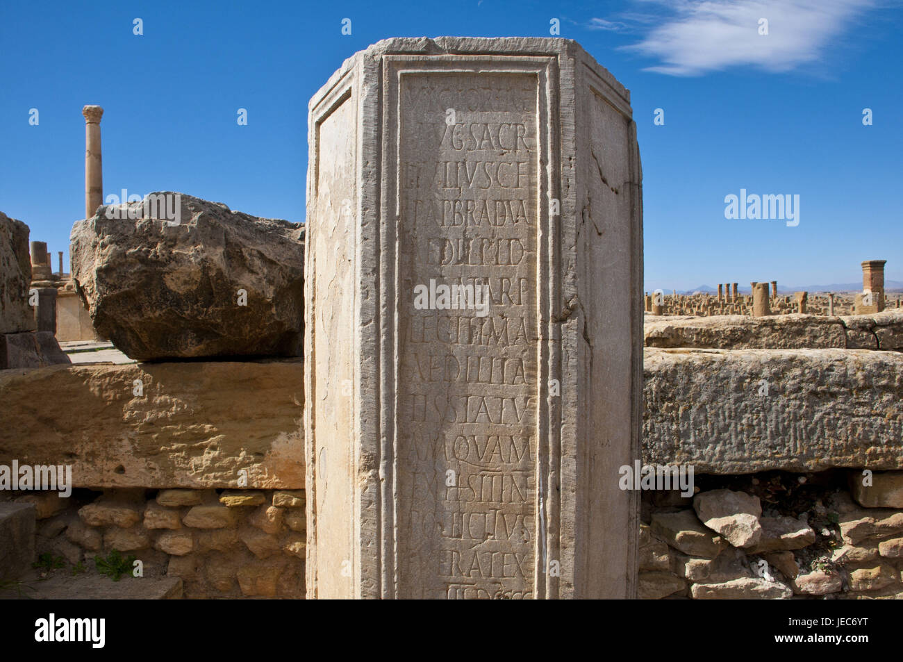 Stele di pietra nell'UNESCO-patrimonio culturale mondiale, le rovine Romane di Timgad, Algeria, Africa Foto Stock