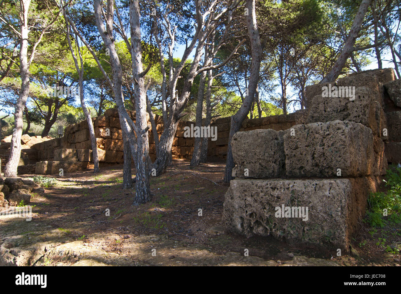 UNESCO-patrimonio culturale mondiale le rovine Romane di Tipasa, Algeria, Africa Foto Stock