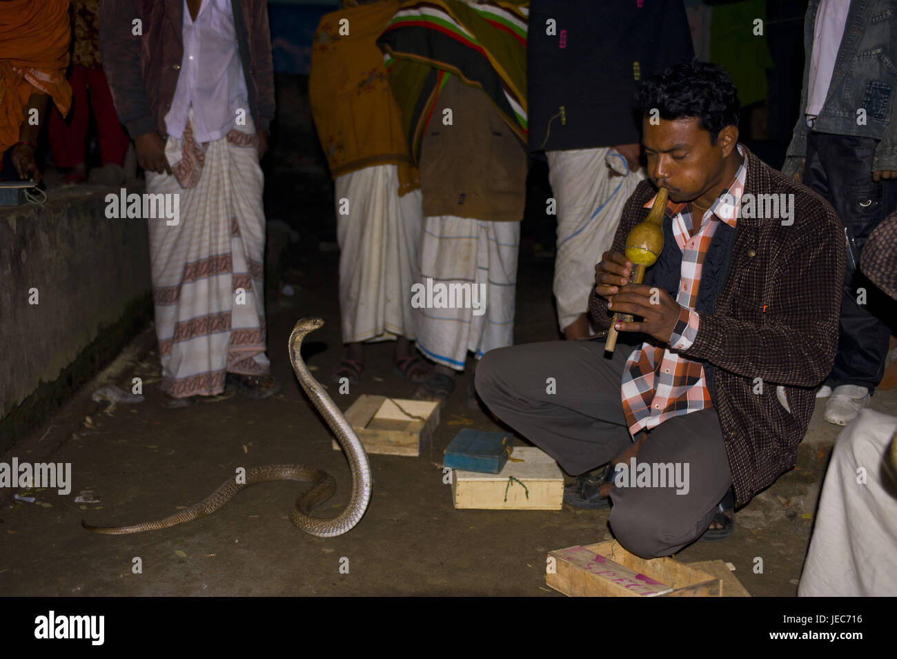 Snake-charmers in Ghuardia, un villaggio mentre presumibilmente le persone per le code non possono essere morso, Bangladesh, Asia Foto Stock