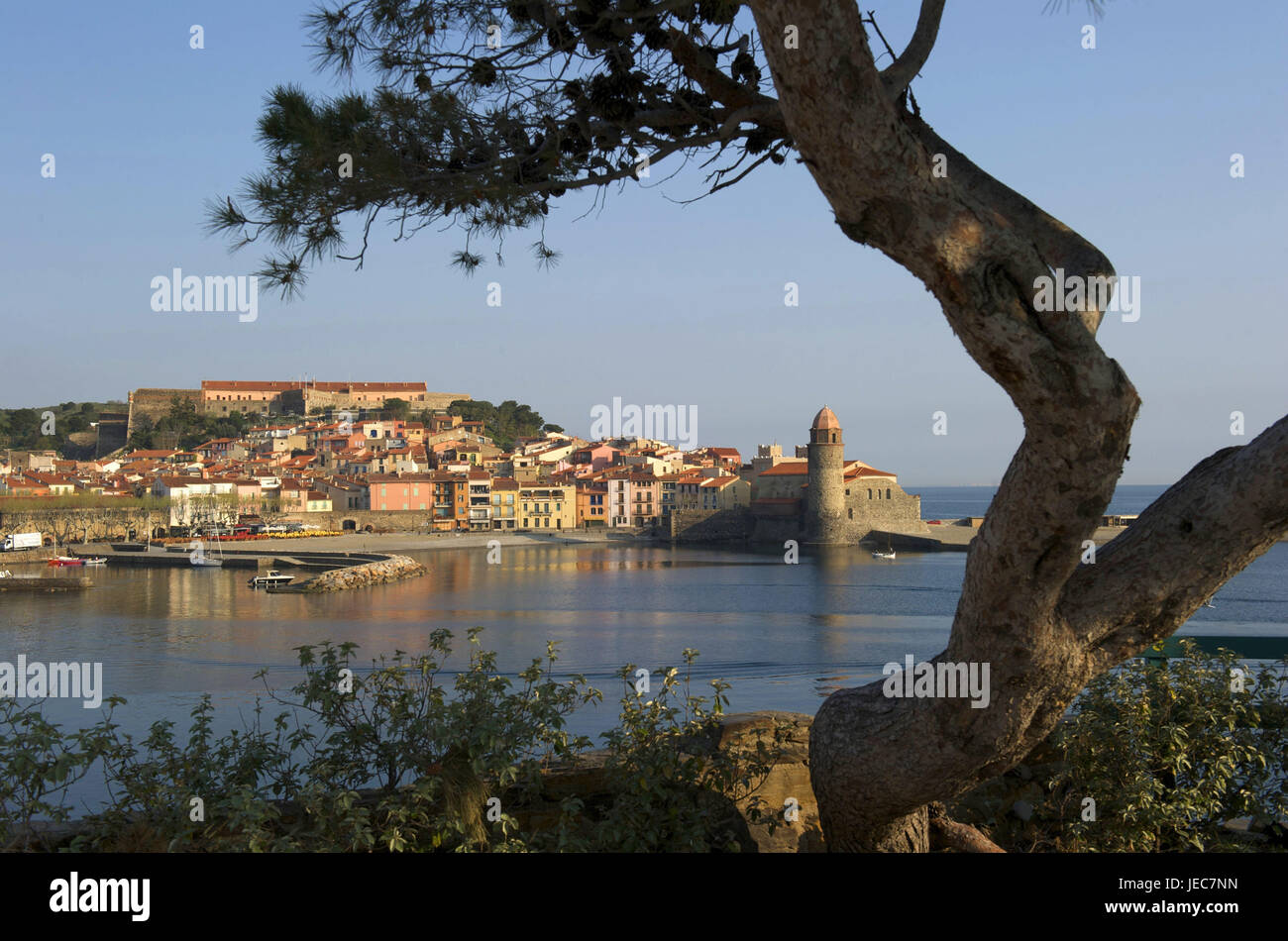 L'Europa, Francia, vista a Collioure, Foto Stock