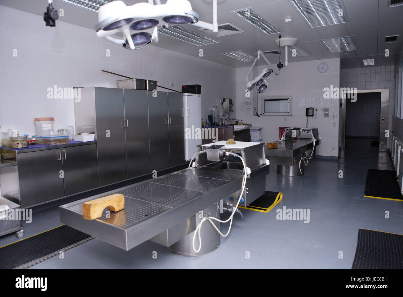 Hospital, patologica-Dipartimento di Anatomia, Prosektur, dissezionati ampia, medicina, reparto ospedaliero, morgue, raffreddamento, patologia, scienza, ricerca, autopsia, la morte, la dissezione, paziente, die, ultimamente, causa di morte, omicidio, malattia, inchiesta, necroscopia, deads, icona del medico errore, causa di morte, autopsia, errore di trattamento, esame, transitoriness, medicina legale, malattia, all'interno, Foto Stock