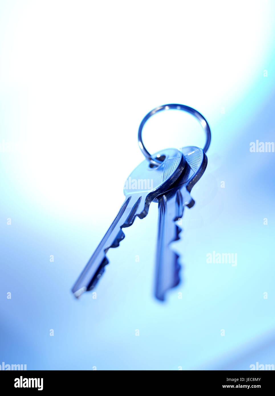 Tasti, icona, sicurezza, luce posteriore, la serratura della porta, serratura a cilindro, il blocco di sicurezza serratura serratura a cilindro chiave, la chiave della porta, della chiave della porta anteriore, brevetto key, chiave bundle, due, meccanicamente, portachiavi, bloccare, blocco, guarnizione, sbloccare, aprire la serratura, concezione, copertura, residenziale, sicurezza, accesso, il tasto di alimentazione, precauzione, cura, monocromatico, blur indietro luce, colore, studio, Foto Stock