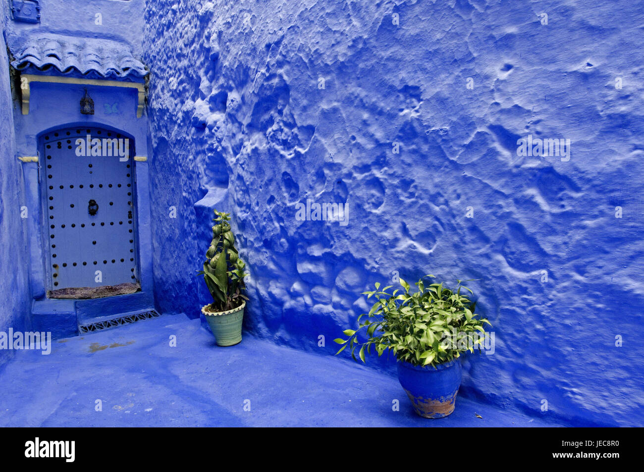 Il Marocco, Chefchaouen, casa di mura difensive, blu, input, porta, fioriere, Africa, house, la costruzione di mura difensive, facciata facciata della casa, tipicamente per paese, architettura, luogo di interesse, deserte, esterno, regolazione del colore, porta anteriore, Foto Stock