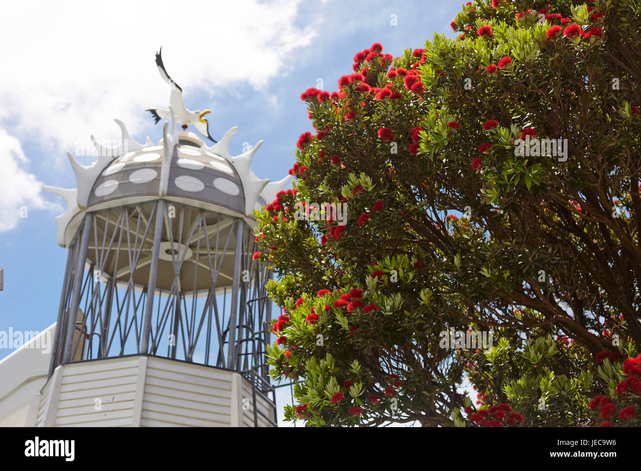 Far scorrere Frank Kitts Park sul lungomare di Wellington e pōhutukawa tree Foto Stock