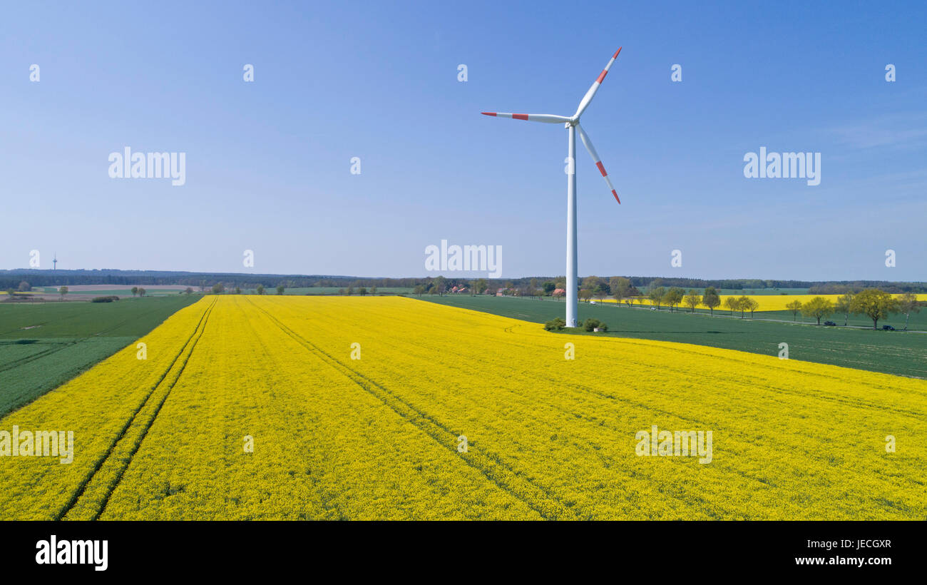 Foto aerea del campo di colza e wind power station in prossimità di Suelbeck, Bassa Sassonia, Germania Foto Stock