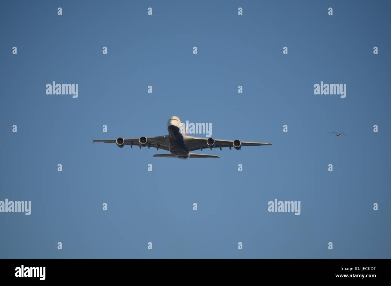 Bianco e blu di quattro aeromobili a turbina battenti lungo con un gabbiano Foto Stock