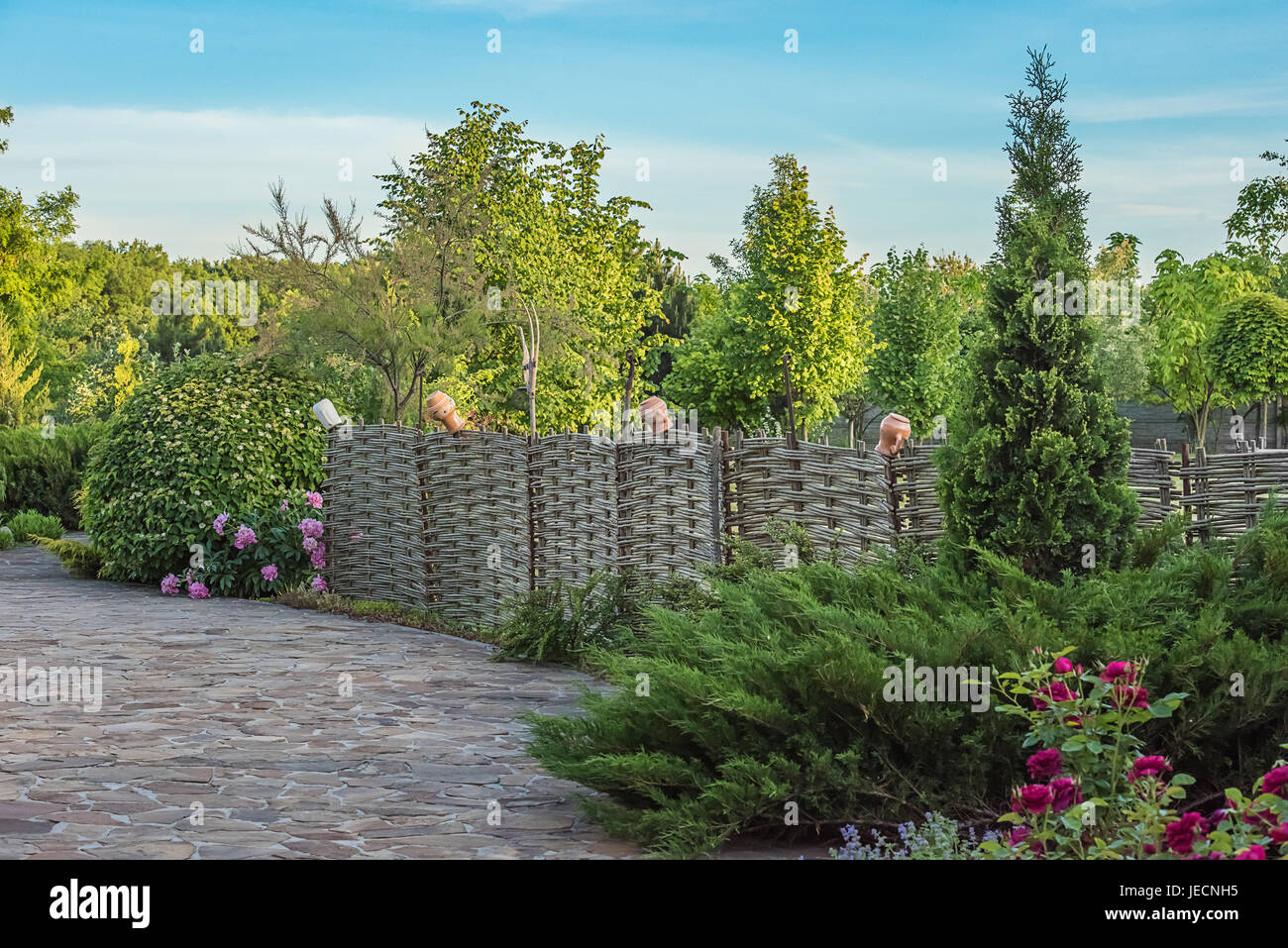 Stile vecchio recinto listellare con brocche. Circondato da verdi alberi, ginepri, peonia e rose. Foto Stock