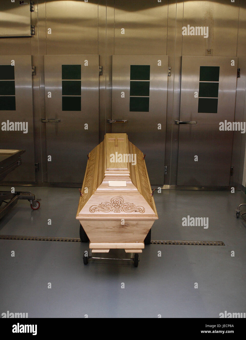 Hospital, patologica-Dipartimento di Anatomia, Prosektur, bara, medicina, reparto ospedaliero, morgue, raffreddamento, patologia, scienza, ricerca, esame autoptico, dissezione, paziente, morte, die, ultimamente, causa di decesso, malattia, icona, causa di morte, autopsia del medico errore, deads, storage, funerali, errore di trattamento, transitoriness, medicina legale, malattia, nessuno, raffreddare la camera, chill campi, all'interno, Foto Stock