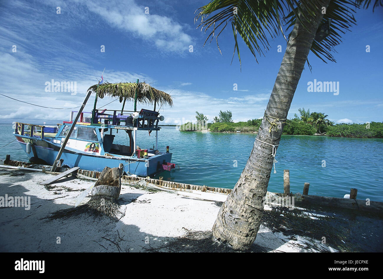 Belize, isola di Caye Caulker, imbarcadero, peschereccio, America Centrale, porto, pesca sportiva, pesca, in barca barca da pesca, taglierina, luminosamente, palm, ceppo, deserte, esterno, Foto Stock