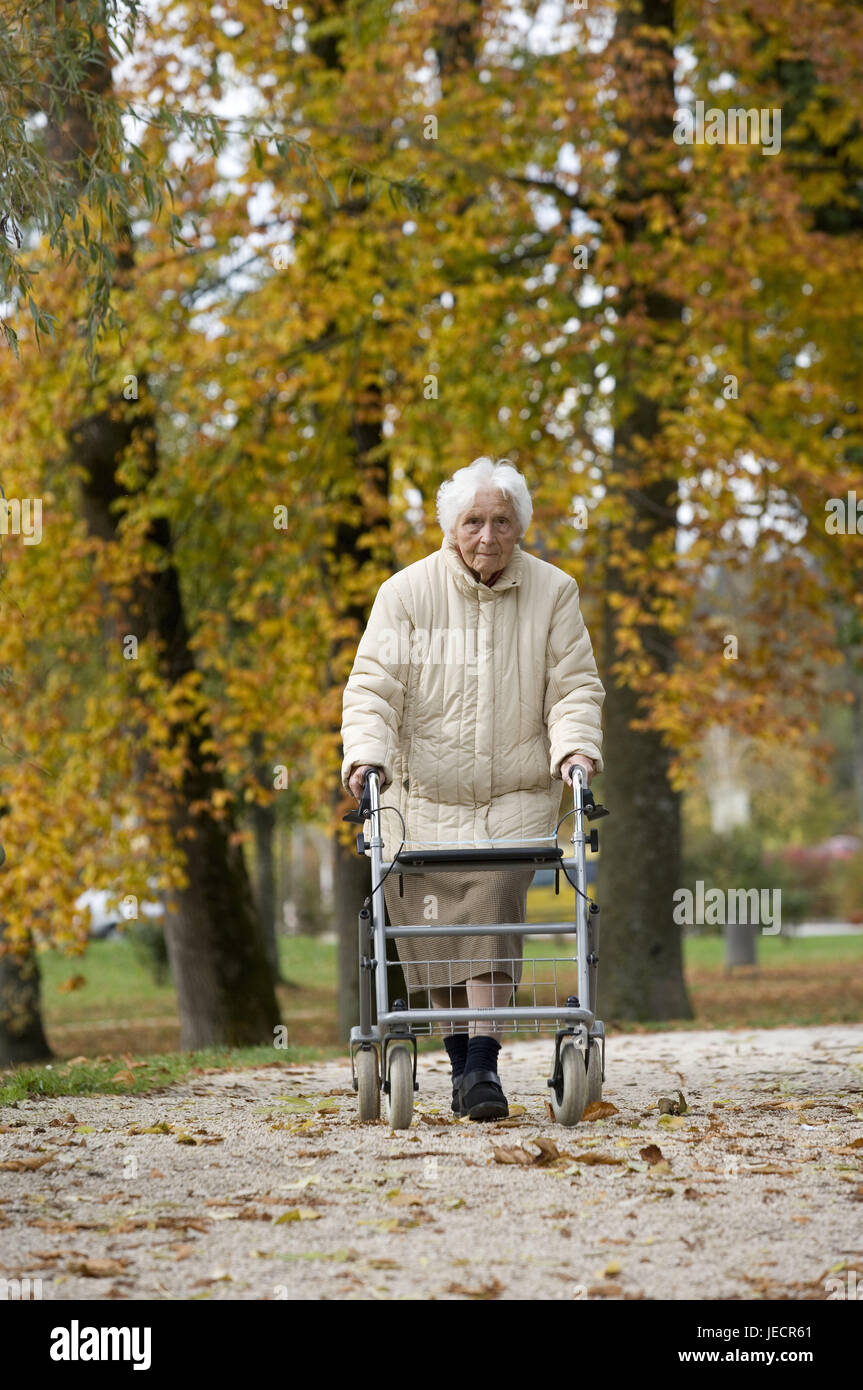 Senior, parco, visualizza fotocamera, Rollator, vai modello rilasciato, legno, strada forestale, modo, donna, vecchio, persone dai capelli bianchi, da soli, visualizzare, purtroppo, solitario, carrelli a piedi camminando assistenza, assistenza, vestiti, giacca beige, rock, alberi, foglie, luminosamente, stagione autunno, Foto Stock