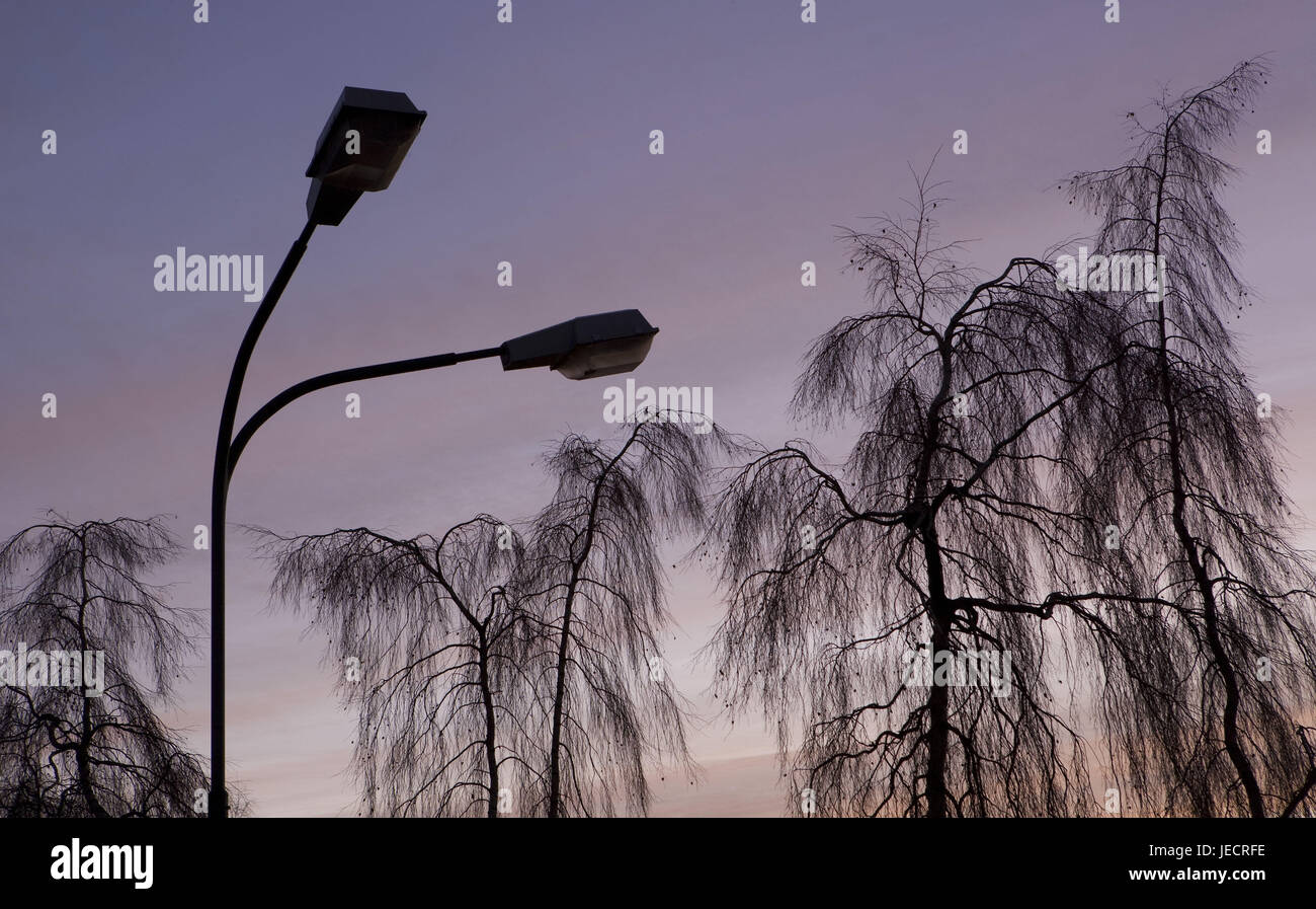 Lampade stradali, alberi, silhouette, mattina tuning, Austria, sale di proprietà della camera, lago lunare, Foto Stock