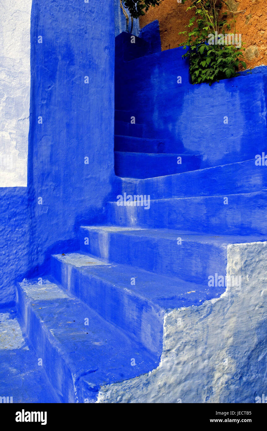 Il Marocco, Chefchaouen, casa di facciata, blu, scale, dettaglio, Africa, casa, costruendo, casa di mura difensive, mura difensive, stile architettonico, tradizione, architettura, passaggio, regolazione del colore, deserte, luogo di interesse, suono blu, piante, Foto Stock