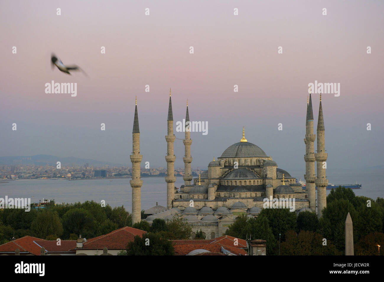 Turchia, Istanbul, del sultano Ahmed la moschea, Moschea blu nell'alba, Foto Stock