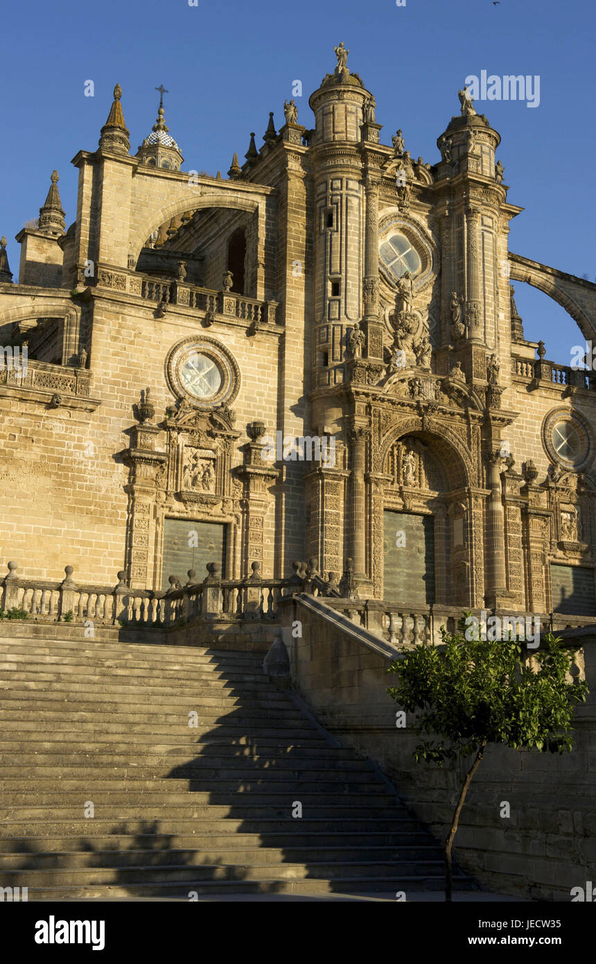 Spagna, Andalusia, provincia di Cadiz, Jerez de la Frontera, Cattedrale di Jerez de la Frontera, Foto Stock