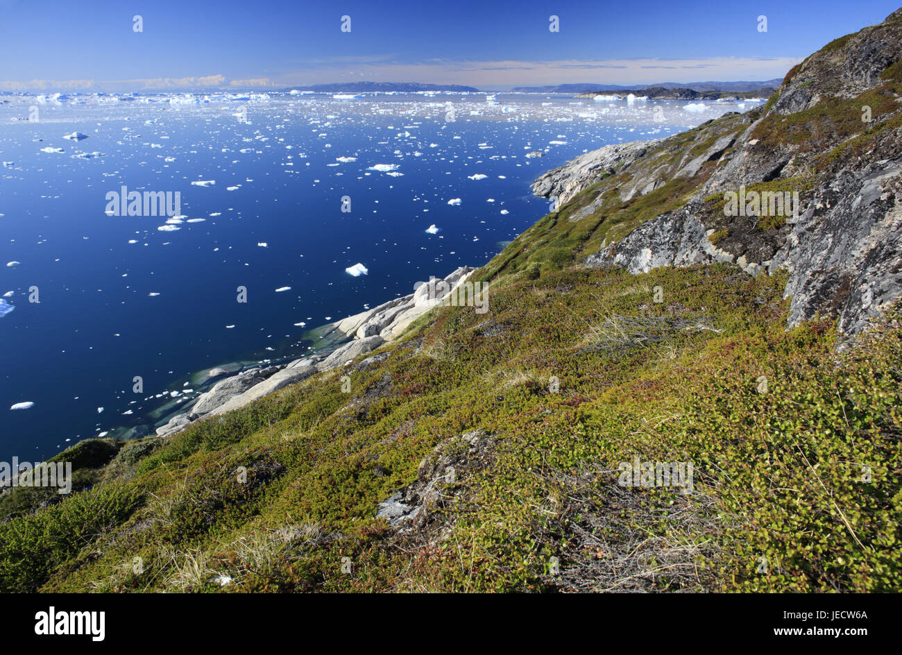 La Groenlandia, Discoteca Bay, Ilulissat, Fjord, drift ghiaccio, paesaggi costieri, dettaglio, vista la Groenlandia occidentale, ghiaccio, ghiacciaio, l'Artico, estate, solitudine, deserte, ghiacciaio, floes, iceberg, natura, cambiamenti climatici, mirroring, superficie di acqua, bile costa, coperte, vegetazione, piante, Foto Stock