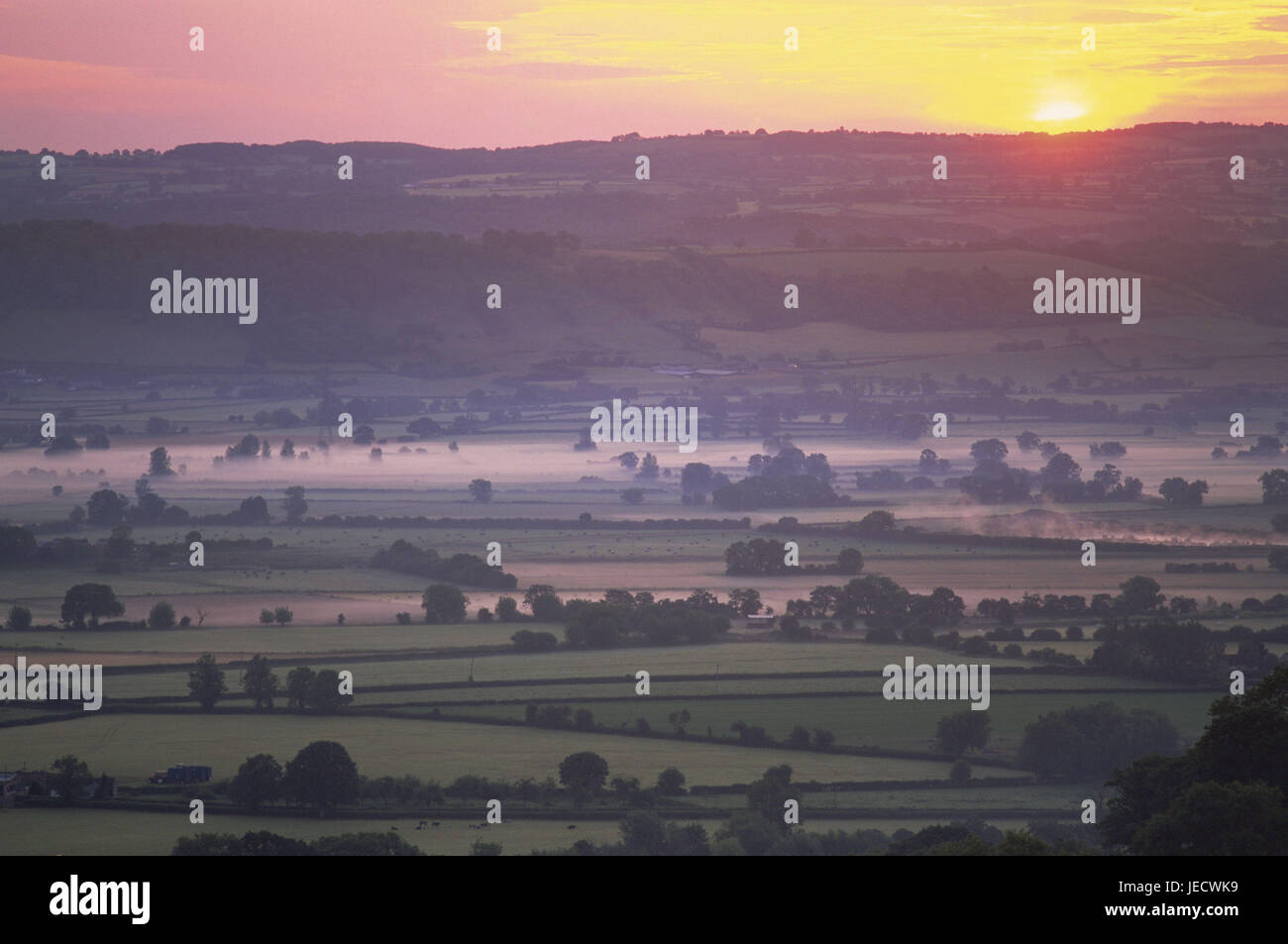 Gran Bretagna, Inghilterra, Somerset, scenario, campi, vista la nebbia, tramonto, Europa, larghezza, distanza, campo scenario, alberi, delimitazione, agricoltura, il sole, la luce posteriore, di post-incandescenza, atmosferico, Foto Stock