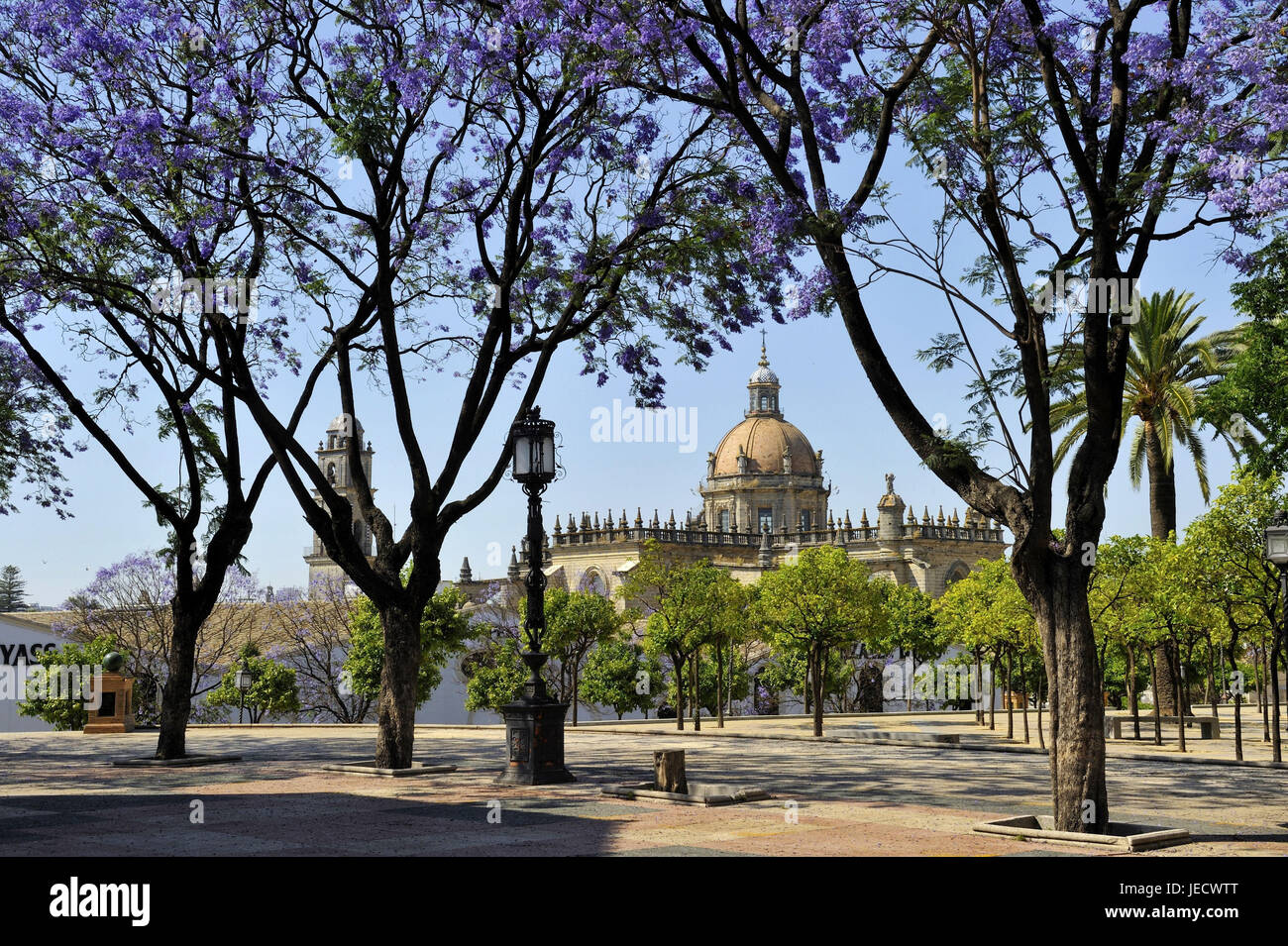 Spagna, Andalusia, provincia di Cadiz, Jerez de la Frontera, cattedrale, Foto Stock