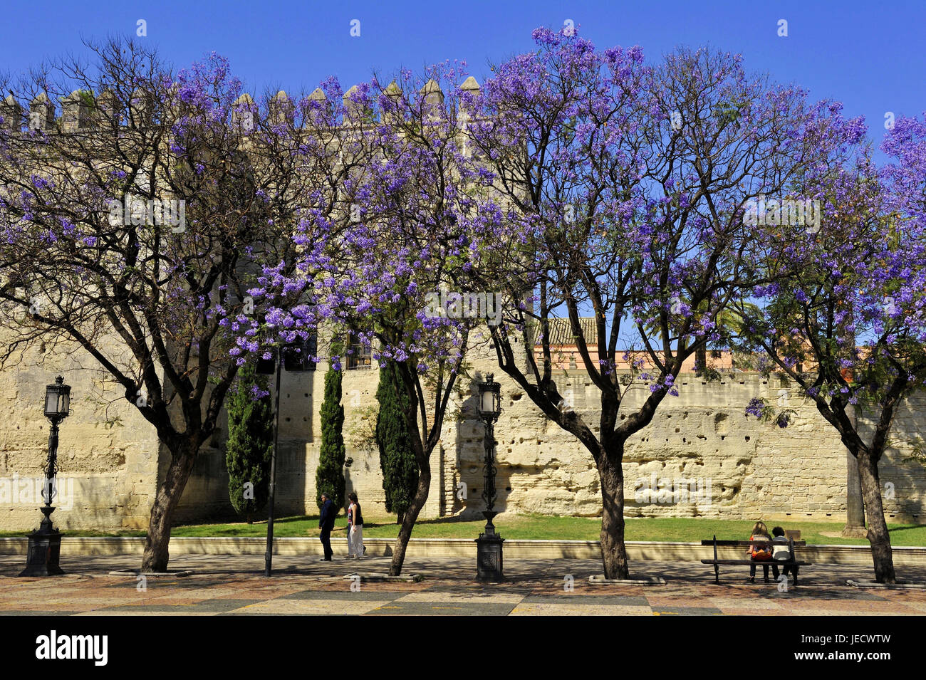 Spagna, Andalusia, provincia di Cadiz, Jerez de la Frontera, turisti prima dell'Alcazar, Foto Stock