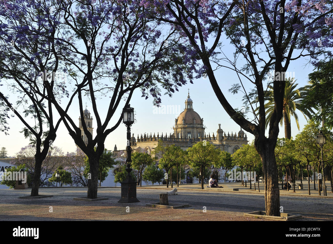 Spagna, Andalusia, provincia di Cadiz, Jerez de la Frontera, turisti in Alameda Vieja sullo sfondo la cattedrale, Foto Stock