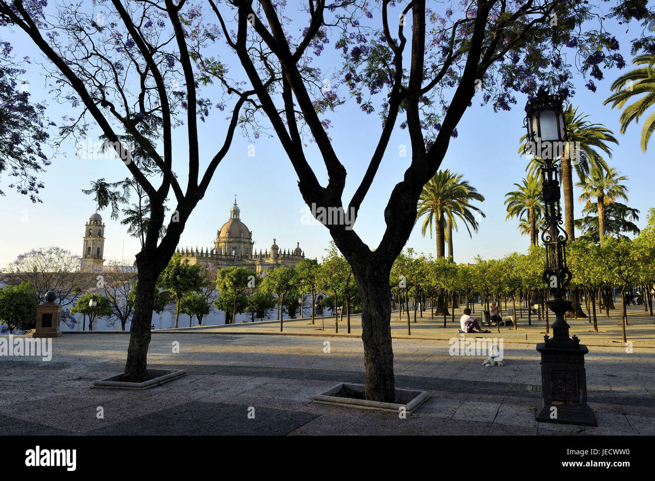 Spagna, Andalusia, provincia di Cadiz, Jerez de la Frontera, turisti in Alameda Vieja, Foto Stock