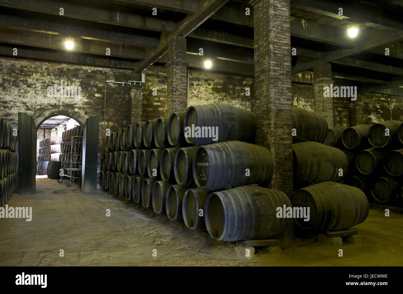 Spagna, Andalusia, provincia di Cadiz, Jerez de la Frontera, botti di vino in una cantina di vini, Foto Stock