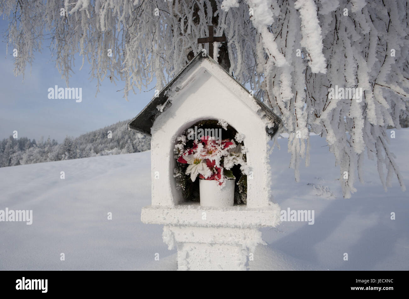 Austria, camera di sale di proprietà, lago lunare, Marterl, inverno, Foto Stock