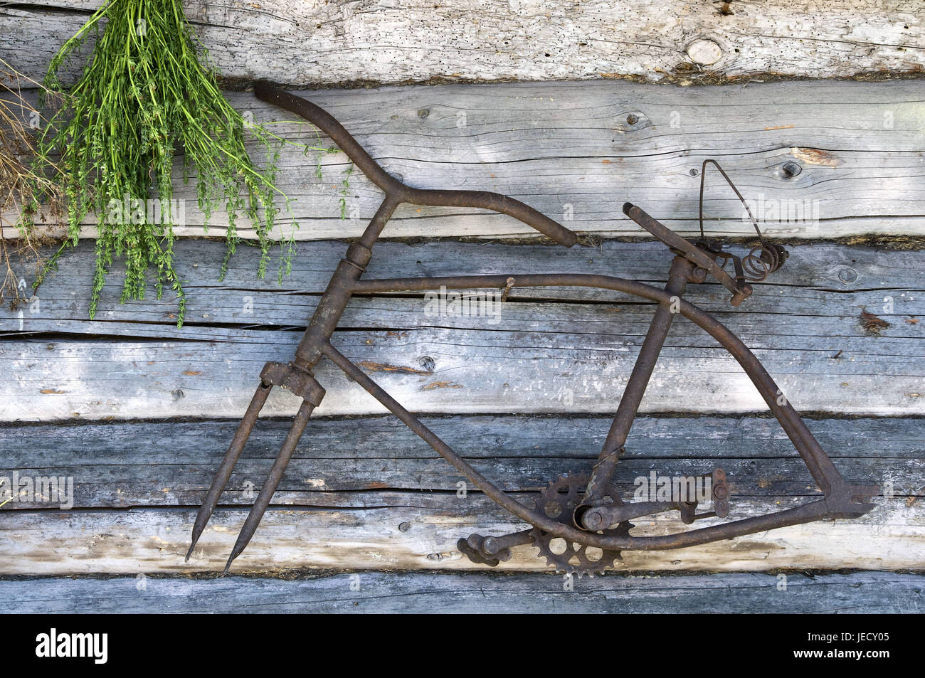 Resti di una vecchia bicicletta sulla parete in legno, Foto Stock