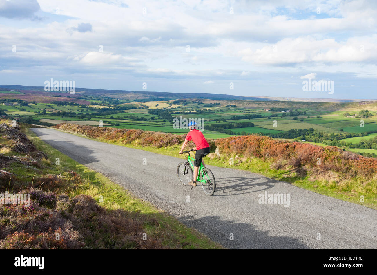Ciclista maschio vicino Westerdale nel North York Moors National Park. North Yorkshire, Inghilterra. Regno Unito Foto Stock