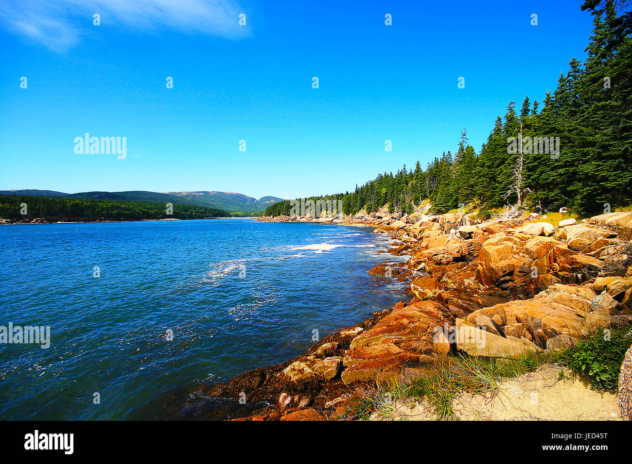 In linea costiera Acadia NP, Maine Foto Stock
