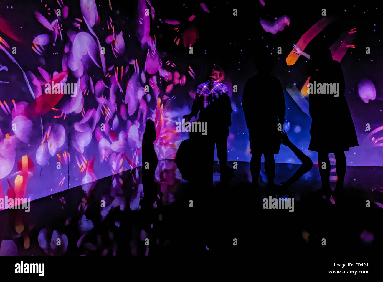 Che cosa un amorevole e bellissimo mondo, interattivi digitali di installazione, il Museo di Antropologia, Vancouver, British Columbia, Canada. Foto Stock